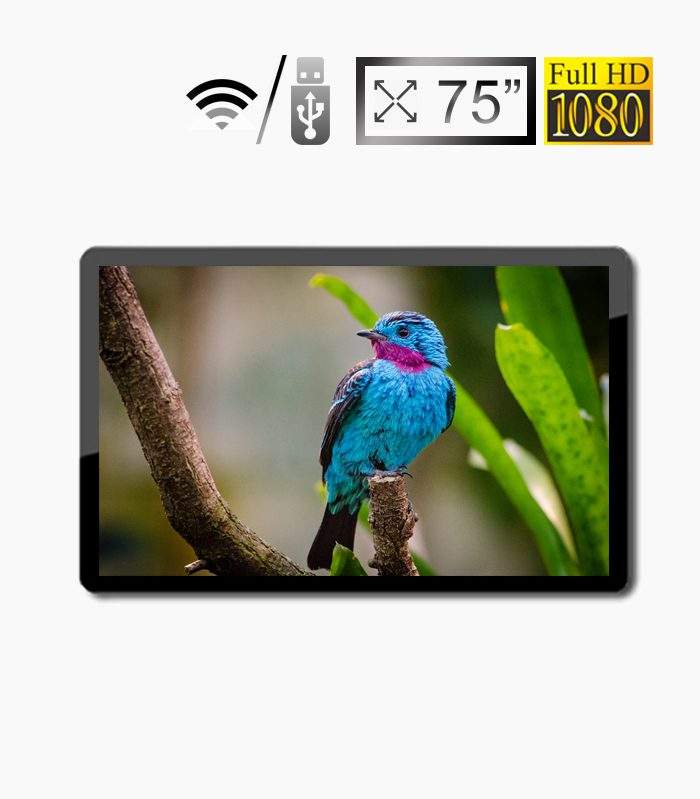 Màn hình LCD quảng cáo 75 inch treo tường tại Hải Lộc