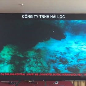 Màn hình Led P3 trong nhà hiển thị hình ảnh HD, mịn mượt