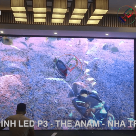 Thi công màn hình Led P3 Fullcolor tại Resort The Anam - Nha Trang