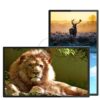 Màn hình quảng cáo Châu Âu 43 inch Smart Display  
