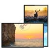 Màn hình quảng cáo lcd tích hợp máy sát khuẩn  