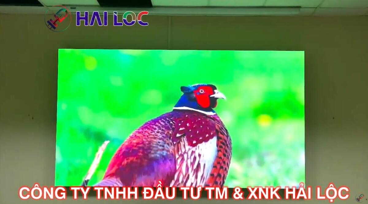 Hải Lộc thi công màn hình LED P1.53 tại nhà máy thuỷ điện Đạ Nhim  