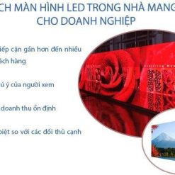 Màn Hình LED P1.6 Trong Nhà: Giải Pháp Hiển Thị Sắc Nét & Ưu Việt Nhất 2026 - Hải Lộc