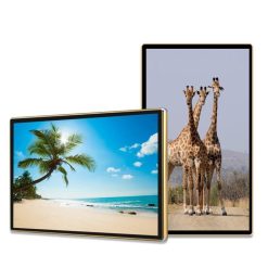 Màn hình quảng cáo Châu Âu 32 inch Smart Signage Display - Hải Lộc