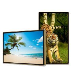 Màn hình quảng cáo Châu Âu 43 inch Smart Signage Display - Hải Lộc