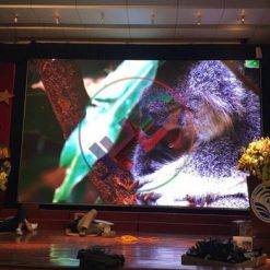 Màn hình Led P2.5 trong nhà - Hải Lộc