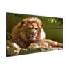 Màn hình ghép Thổ Nhĩ Kỳ 55 inch Video Wall Displays Ultra Narrow Bezel - Hải Lộc