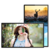 Màn hình quảng cáo Châu Âu 98 inch UHD Display - Hải Lộc