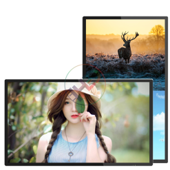Màn hình quảng cáo Châu Âu 98 inch UHD Display - Hải Lộc