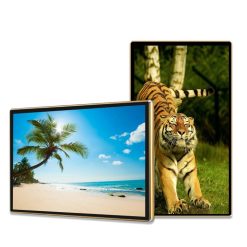 Màn hình quảng cáo 43 inch Android độ sáng 500 nits - HẢI LỘC