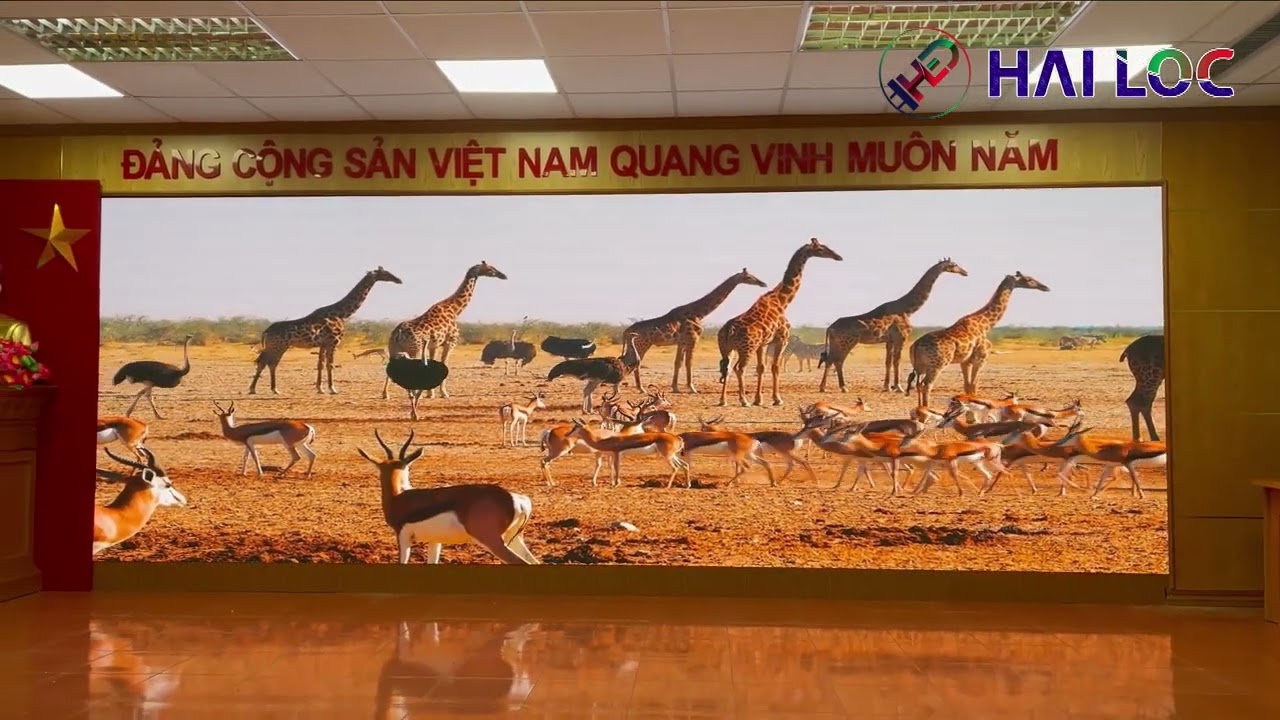 Thi công màn hình LED P3 tại Nhà máy nhiệt điện Cẩm Phả - Quảng Ninh - Hình ảnh dự án thực tế LED Hải Lộc thi công