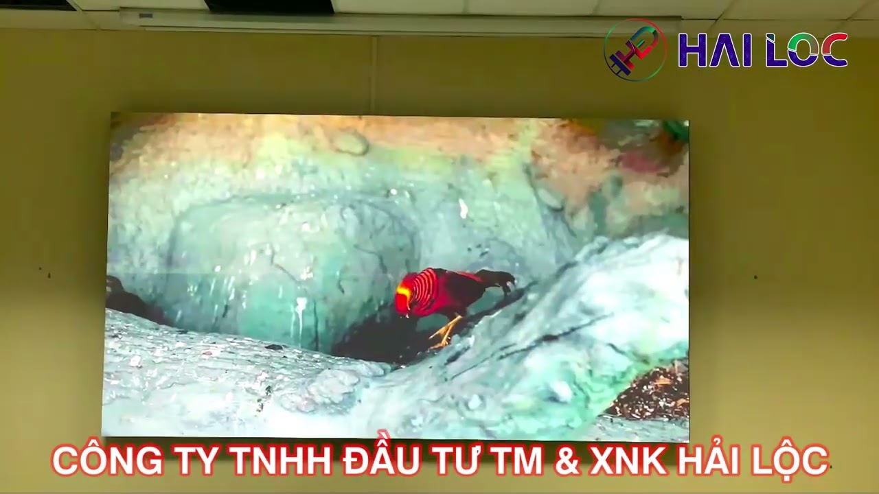 Thi công màn hình LED P1.53 tại Nhà máy thủy điện Đạ Nhim – Hải Lộc - Hình ảnh dự án thực tế LED Hải Lộc thi công