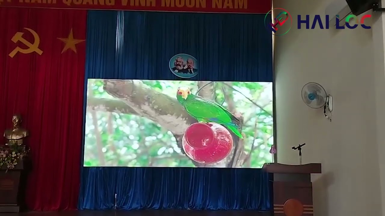 Thi công màn hình LED tại Chi cục Thuế Đức Trọng - Đơn Dương, Lâm Đồng - Hình ảnh dự án thực tế LED Hải Lộc thi công