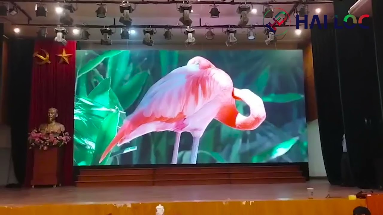 Thi công màn hình LED P3 tại ĐH Y Tế Hải Dương - Dự án iLoc - Hình ảnh dự án thực tế LED Hải Lộc thi công