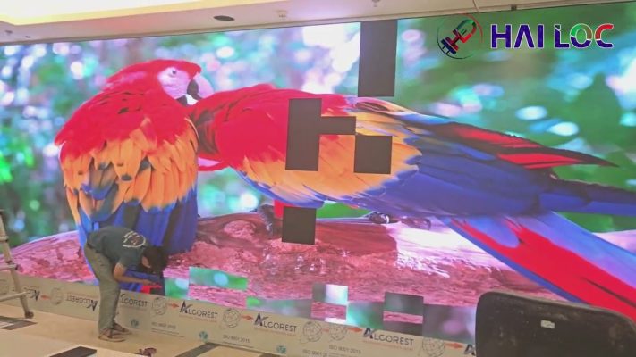 CTY LED Hải Lộc đã thi công màn hình đạo. vikland 48 tố hữu p2